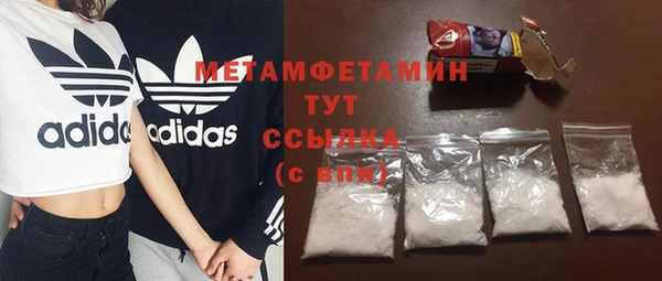 индика Богородицк