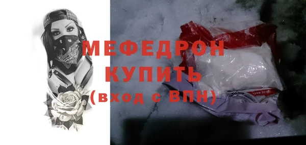 индика Богородицк