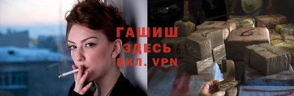 индика Богородицк