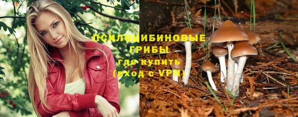 jwh Богданович