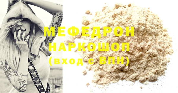 индика Богородицк