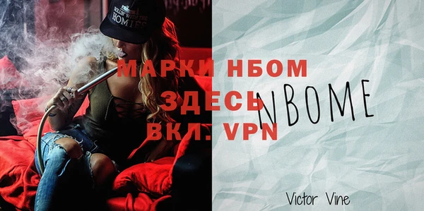 a pvp Бородино