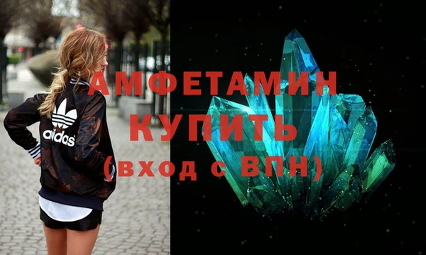 индика Богородицк