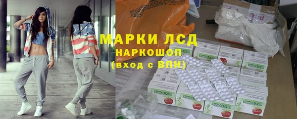 a pvp Бородино