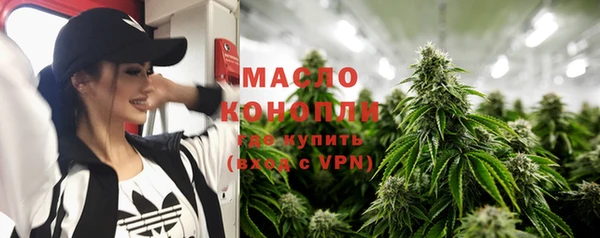 индика Богородицк