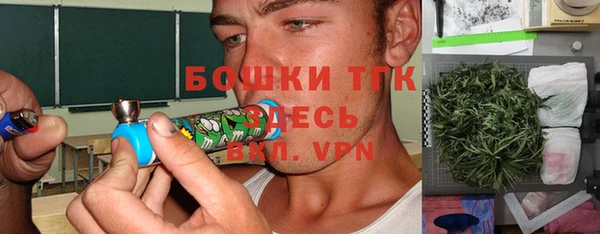 a pvp Бородино