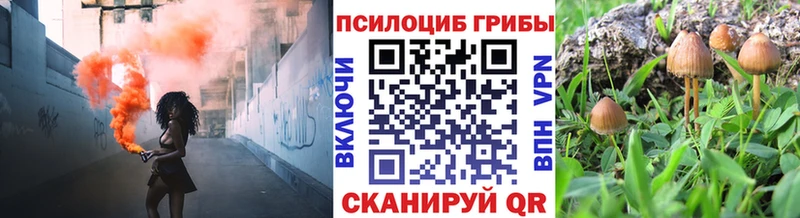 наркота  Химки  Галлюциногенные грибы MAGIC MUSHROOMS 