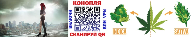 где найти   Химки  Канабис VHQ 
